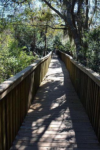 Sea Pines Forest Preserve